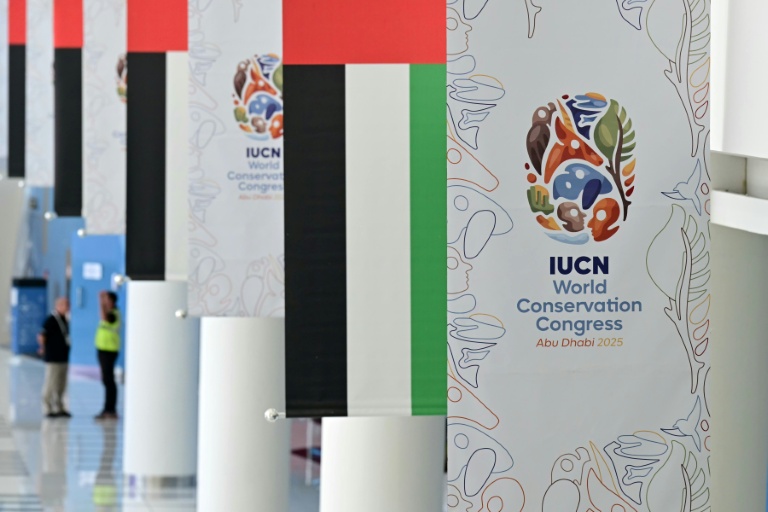 Des affiches du congrès de l'Union internationale pour la conservation de la nature (UICN), le 8 octobre 2025 à Abou Dhabi, aux Emirats arabes unis
