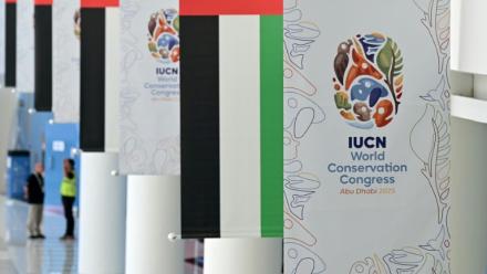 Des affiches du congrès de l'Union internationale pour la conservation de la nature (UICN), le 8 octobre 2025 à Abou Dhabi, aux Emirats arabes unis