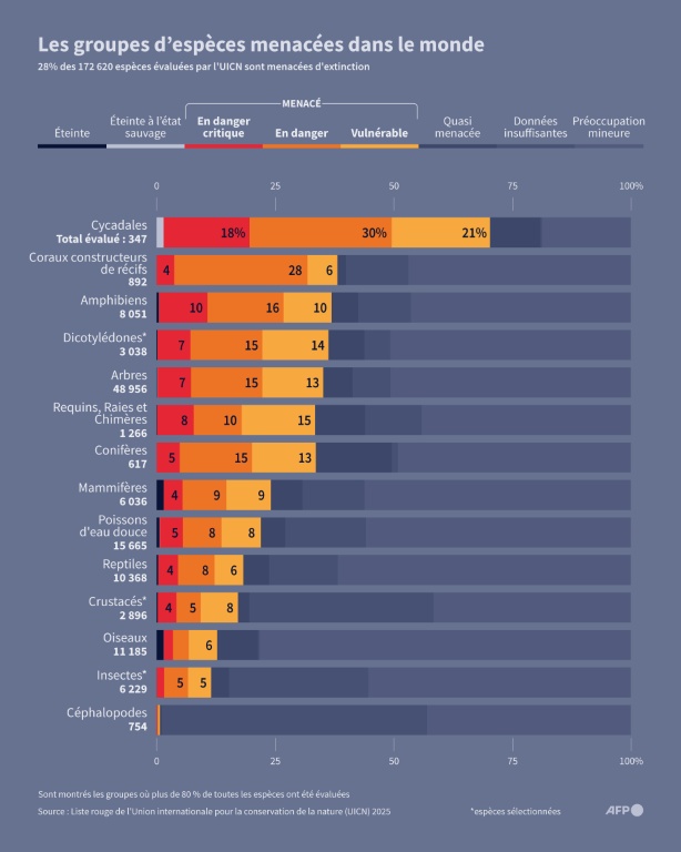 Les groupes d'espèces menacées dans le monde