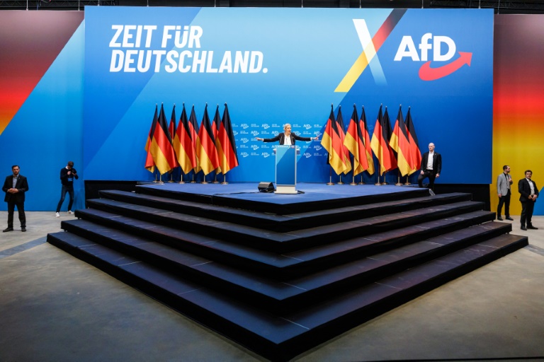 Alice Weidel, codirigeante du parti d'extrême droite Alternative pour l'Allemagne (AfD), s'adresse aux délégués lors d'un congrès du parti le 11 janvier 2025 à Riesa, dans l'est de l'Allemagne
