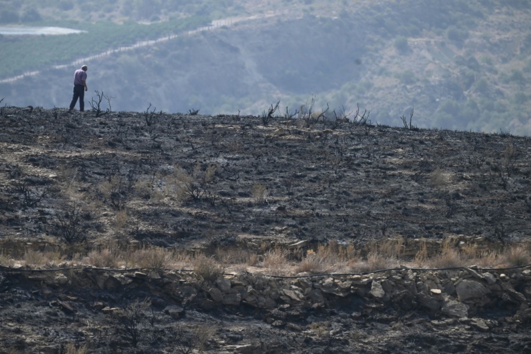 Un homme marche sur ses terres brûlées après un incendie de forêt ayant fait au moins 12 morts, à Alfaix, dans la province d'Almería, le 11 juillet 2026