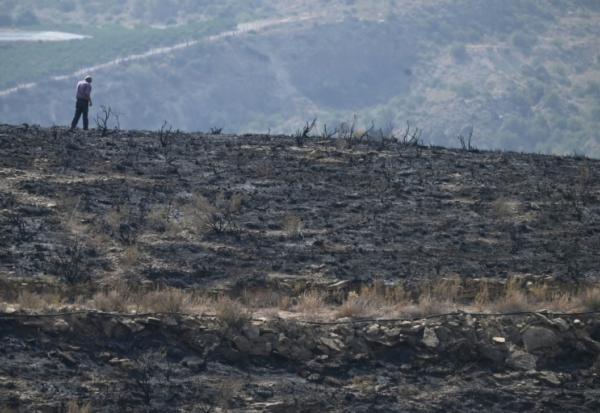 Un homme marche sur ses terres brûlées après un incendie de forêt ayant fait au moins 12 morts, à Alfaix, dans la province d'Almería, le 11 juillet 2026