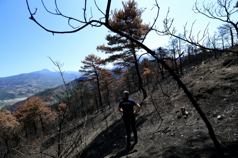 Le chef des pompiers Ilir Llapushi inspecte les dégâts causés par des incendies à Skenderbegas, près de Gramsh, dans le centre de l'Albanie, le 16 septembre 2025 