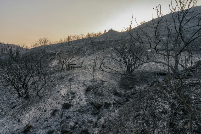 Une forêt détruite par un incendie à Coustouge, dans l'Aude, le 7 août 2025