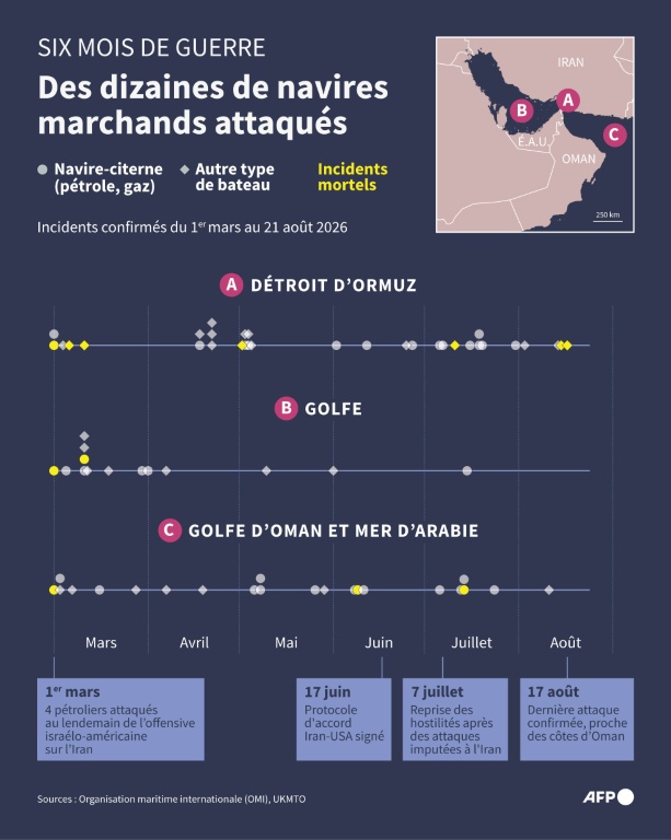 Six mois de guerre : des dizaines de navires marchands attaqués