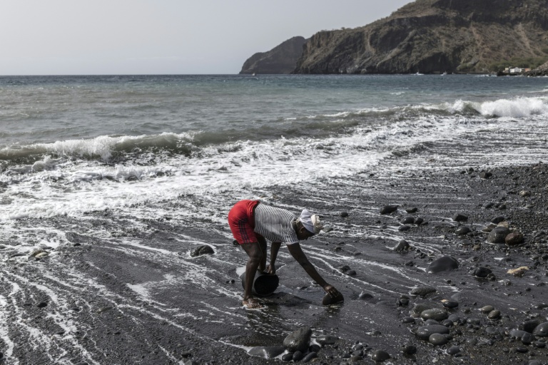 Vania Tavares ramasse du sable noir sur une plage dégradée par l'exploitation commerciale, près de Ribeira da Barca, le 20 mai 2026 au Cap-Vert 