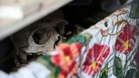 Les restes d'une personne dans un ossuaire avant un nettoyage pour les célébrations du Jour des Morts au cimetière de Pomuch, dans l'État de Campeche, au Mexique, le 18 octobre 2025