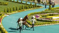 Des dresseurs présentent des étalons Akhal-Teke lors d'un concours à Achgabat, le 25 avril 2026 au Turkménistan