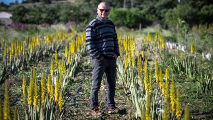 Laurent Maynadier, viticulteur à Fitou, dans l'Aude, qui a diversifié ses cultures, pose le 6 mai 2025 dans un champ d'aloe vera, plante peu gourmande en eau
