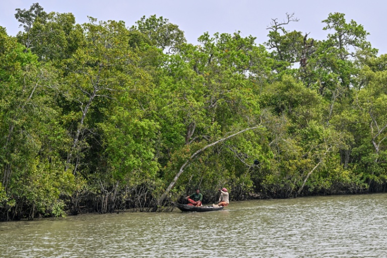 Des pêcheurs sur la rivière Kholpetua à Kalabogi, dans le district de Khulna, près des Sundarbans, une mangrove en proie à des pirates qui ciblent les pêcheurs, le 30 mars 2026 au Bangladesh
