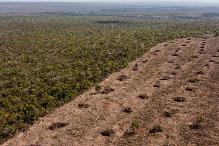 Vue aérienne de la déforestation du Cerrado à São Desidério, dans l’ouest de l’État de Bahia, au Brésil, le 25 septembre 2023