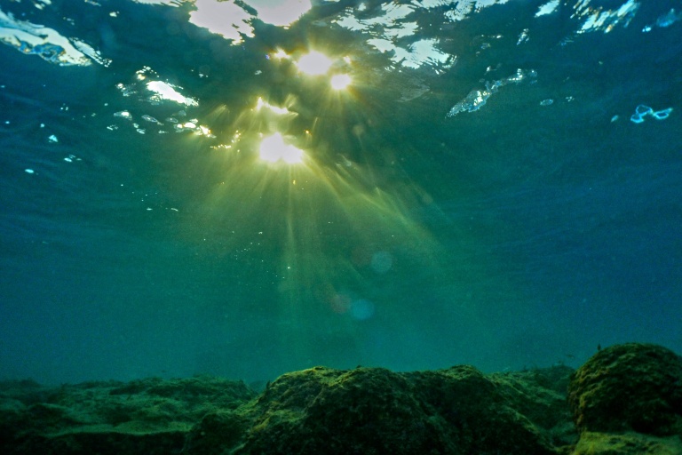 Sous l'effet du réchauffement climatique et du phénomène El Niño, les océans du monde connaissent une série de records de chaleur qui inquiètent les scientifiques
