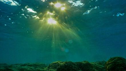 Sous l'effet du réchauffement climatique et du phénomène El Niño, les océans du monde connaissent une série de records de chaleur qui inquiètent les scientifiques