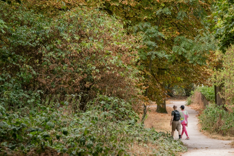 Un couple passe devant des arbres aux feuilles desséchées par le stress hydrique au bois de Vincennes, près de Paris, le 13 juillet 2026 lors d'une vague de chaleur en France
