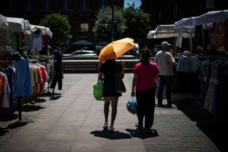 Sur un marché de Toulouse le 27 mai 2026