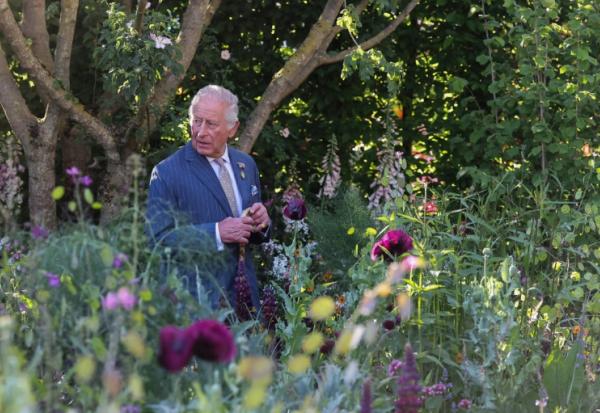 Charles III peu avant l'ouverture du Chelsea Flower show, à Londres, le 19 mai 2025 