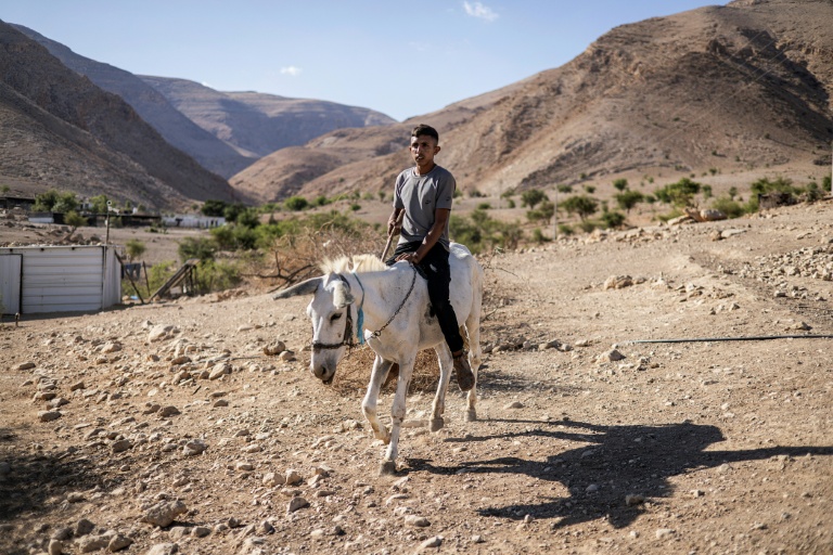 Un jeune bédouin palestinien sur son âne à Ras Ein al-Auja, dans la vallée du Jourdain, en Cisjordanie occupée, le 30 septembre 2025 