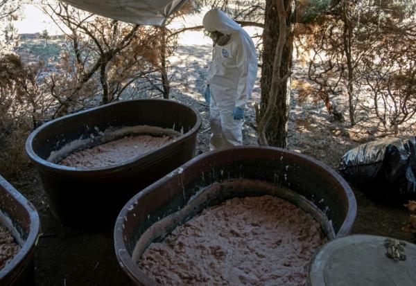 Un expert de l’armée mexicaine observe des conteneurs de pâte de méthamphétamine dans un laboratoire clandestin près de La Rumorosa, au Mexique, le 28 août 2018 