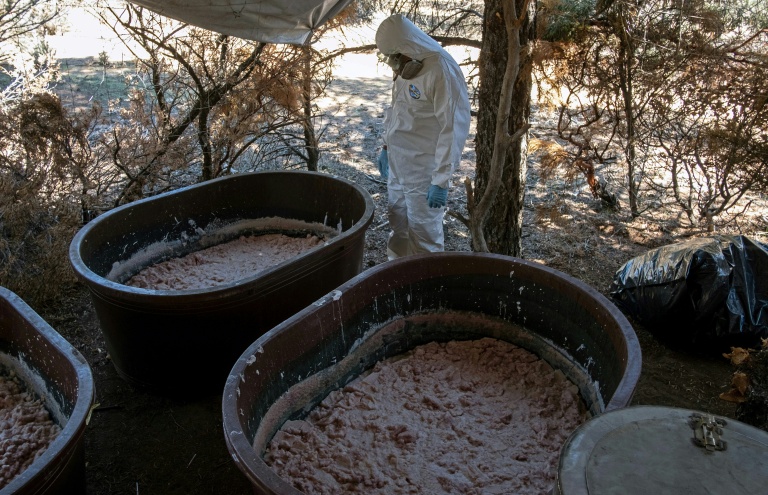 Un expert de l’armée mexicaine près de conteneurs contenant de la pâte de méthamphétamine dans un laboratoire clandestin près de La Rumorosa, au Mexique, le 28 août 2018 
