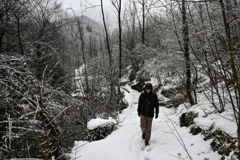 Le chercheur Marco Granata marche dans les bois pour récupérer des pièges photographiques utilisés pour surveiller de petits mustélidés, comme l’hermine, dans leur habitat naturel, à Entracque, dans le nord-ouest de l’Italie, le 22 décembre 2025