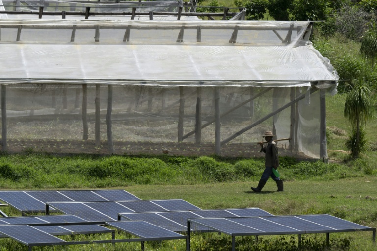 Un agriculteur passe entre une serre et des panneaux solaires  dans la ferme agro-écologique La Burgambilia, à Caimito, dans la province d'Artemisa, le 25 juin 2026 à Cuba
