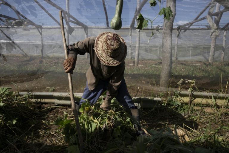 Un agriculteur travaille à la ferme agro-écologique 