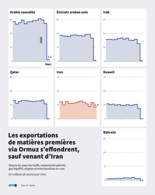 Les exportations de matières premières via Ormuz s'effondrent, sauf venant d'Iran