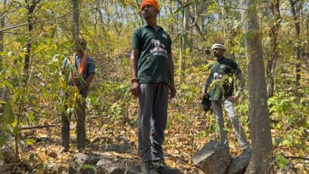 Des pisteurs de l'équipe "les amis de l'éléphant" tentent de localiser un troupeau sauvage dans une forêt à Dhawalpur, dans l'Etat de Chhattisgarh, le 12 mars 2025 en Inde