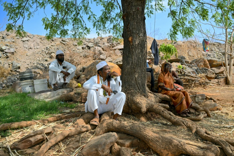 Khatijabi (d), dont le fils Shaikh Latif Sheru, agriculteur, s'est suicidé en raison de l'accumulation de prêts financiers, est assise à l'ombre d'un arbre avec les membres de sa famille sur leurs terres agricoles du village de Mochi Pimpalgaon, dans le district de Beed, dans l'Etat du Maharashtra, le 3 mai 2025 en Inde