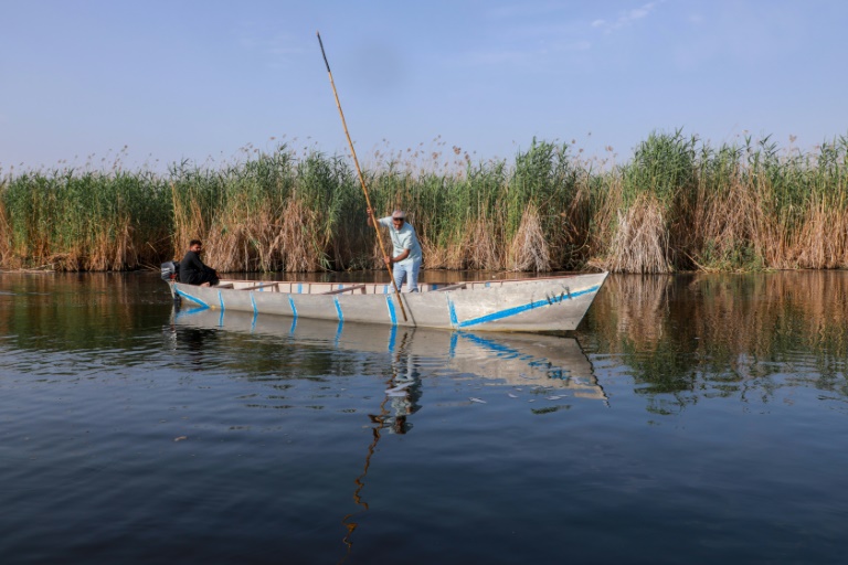 Le militant environnemental Ahmed Neema dans les marais de Hawizeh, en Irak, le 25 avril 2025