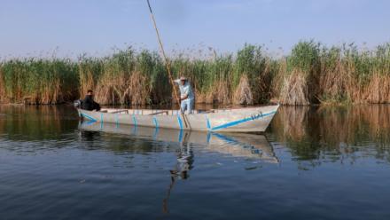 Le militant environnemental Ahmed Neema dans les marais de Hawizeh, en Irak, le 25 avril 2025