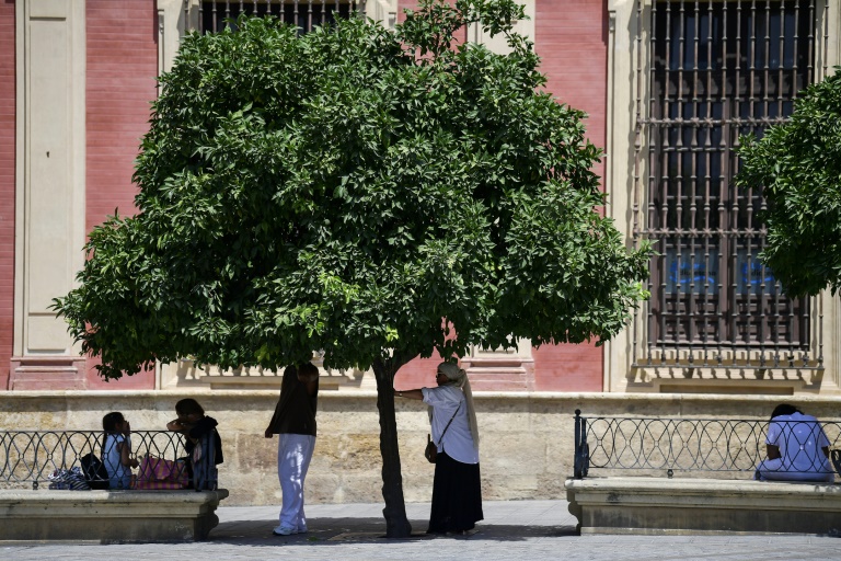 Des personnes se protègent de la chaleur à l'ombre d'un arbre pendant la vague de chaleur extrême qui frappe Séville en Espagne, ville où les températures dépassent les 40°C, le 12 août 2025