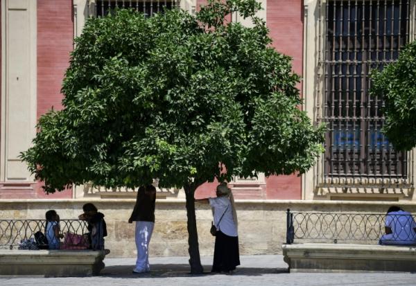 Des personnes se protègent de la chaleur à l'ombre d'un arbre pendant la vague de chaleur extrême qui frappe Séville en Espagne, ville où les températures dépassent les 40°C, le 12 août 2025