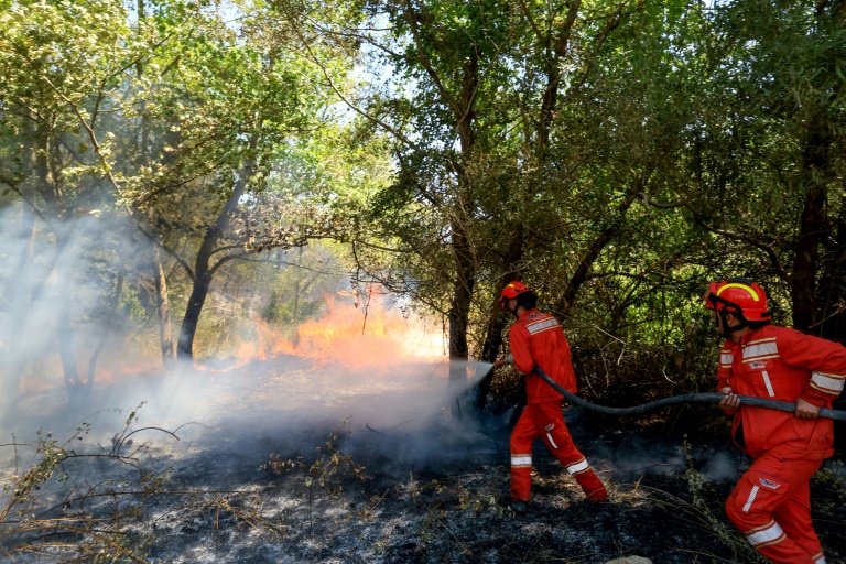 Les pompiers luttent contre un incendie de forêt près du parc national Blue Eye, dans le sud de l'Albanie, le 12 août 2025