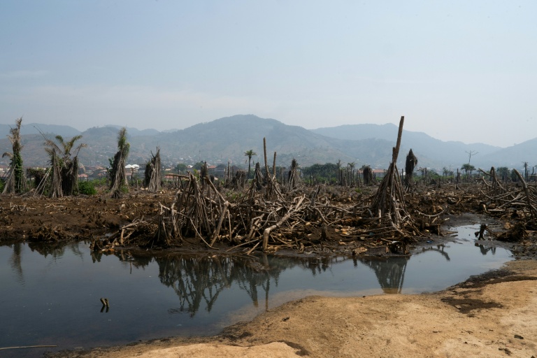 Vue d'ensemble des mangroves détruites près de Hamilton Beach, le 25 janvier 2026, en Sierra Leone