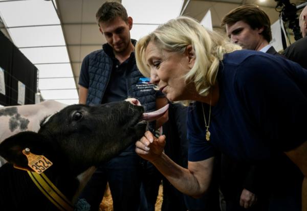 Marine Le Pen, candidate du RN à la présidentielle, câline un veau lors de sa visite au Sommet de l'élevage à Cournon-d'Auvergne, le 7 octobre 2026 dans le Puy-de-Dôme