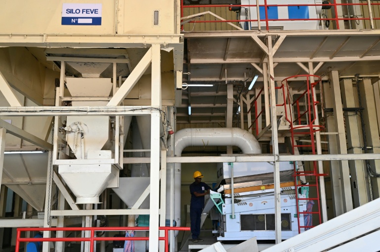 Dans l'usine de chocolat des frères Diakaté, à Divo, en Côte d'Ivoire, en octobre 2025