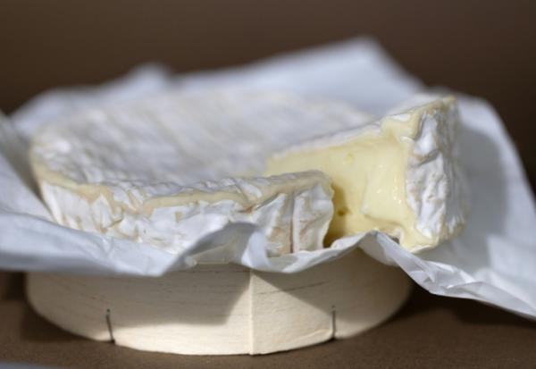 Un camembert à Quimper le 13 août 2025