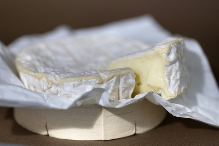 Un camembert à Quimper le 13 août 2025