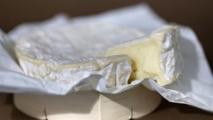 Un camembert à Quimper le 13 août 2025