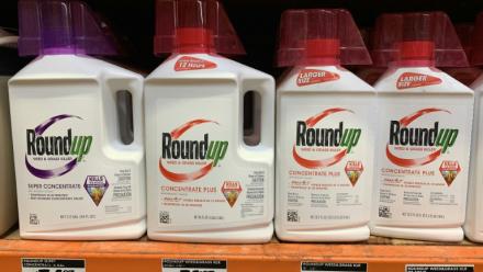 Des bouteilles d'herbicide Roundup dans un magasin en Californie, aux États-Unis, le 1er septembre 2019