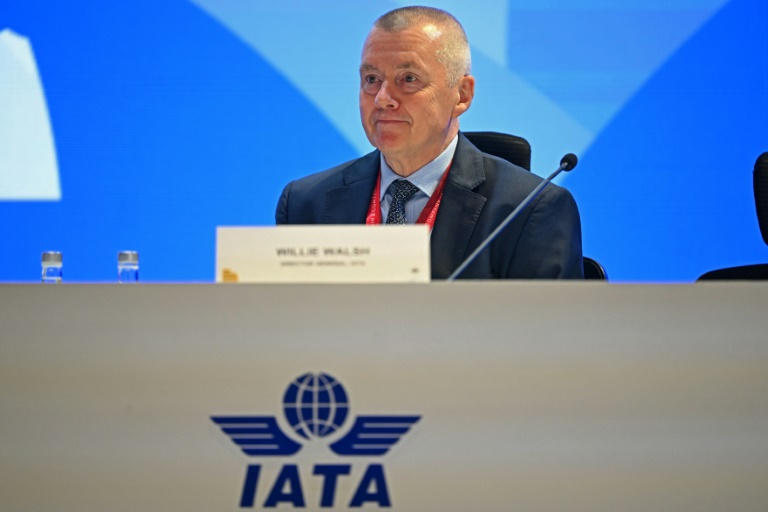 Le directeur général de l'Association internationale du transport aérien (Iata), Willie Walsh, face à des centaines de délégués de son organisation réunis en assemblée générale à New Delhi, le 2 juin 2025