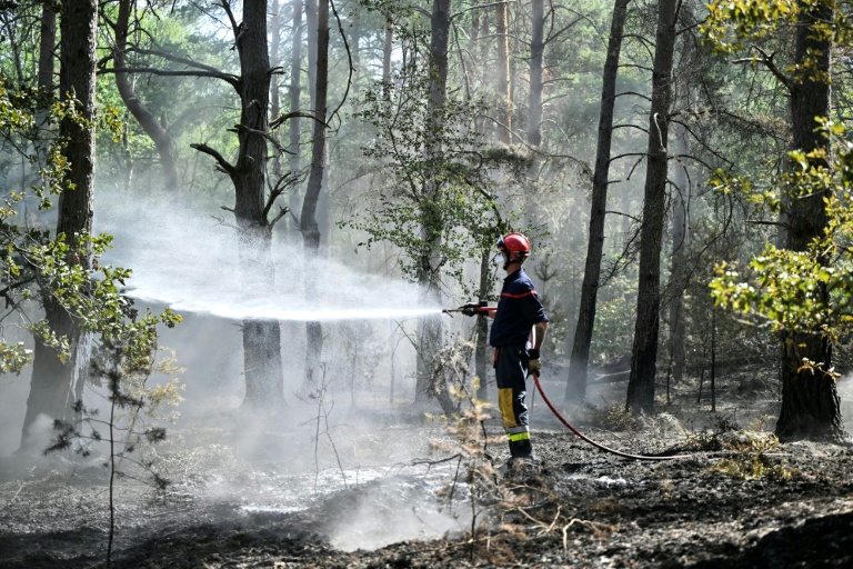 Un pompier arrose les arbres et le sous-bois pendant un incendie dans la forêt de Fontainebleau, à Noisy-sur-École, le 16 juillet 2026 en Seine-et-Marne