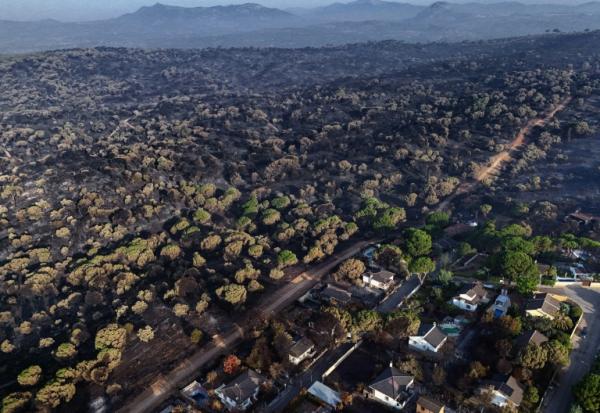 Cette image aérienne prise à l’aide d’un drone le 30 juillet 2026 montre des habitations dévastées par un incendie de forêt dans le lotissement d'Encinar del Alberche, à Villa del Prado, située à 60 kilomètres au sud-ouest de Madrid en Espagne