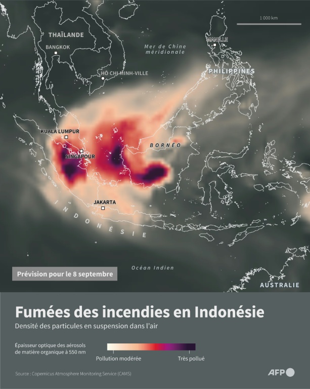 Fumées des incendies en Indonésie