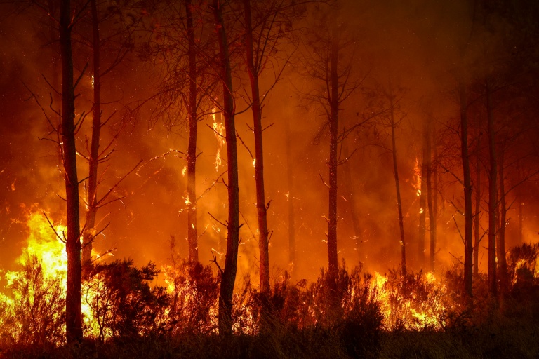 Le feu ravage la forêt à Saint-Jean-d'Illac, à une trentaine de kilomètres de Bordeaux, dont la région fait face à un incendie d'ampleur, le 26 juillet 2026
