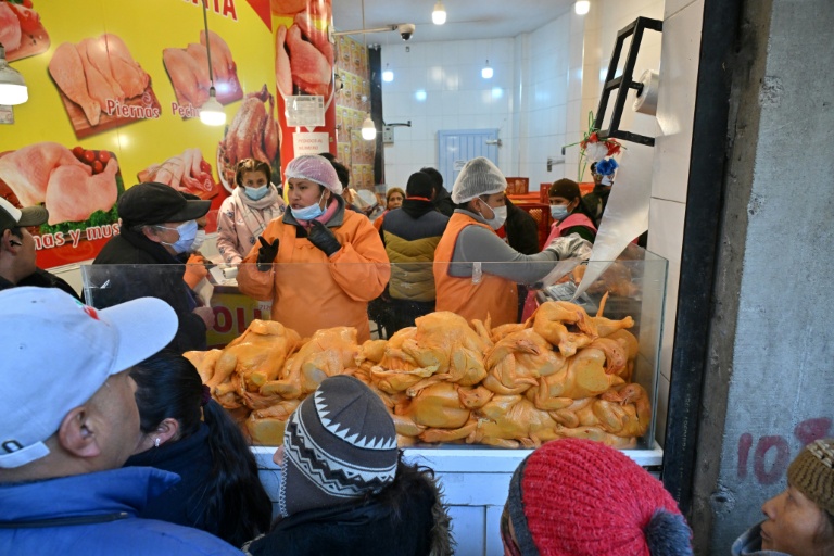 Des habitants font la queue tôt le matin pour acheter du poulet à prix de gros, le 11 juin 2025 à La Paz, en Bolivie