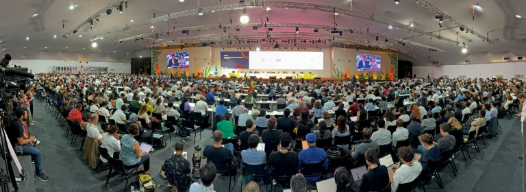 Session plénière de la COP30 à Belem, Brésil, le 22 novembre 2025