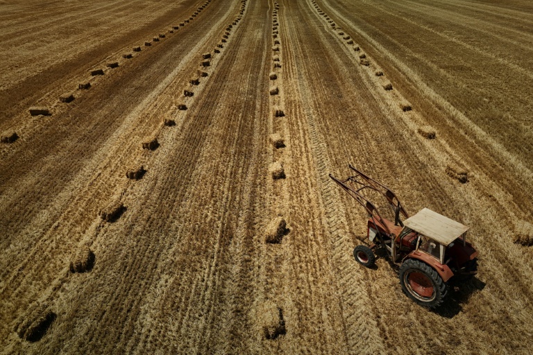 Dans une nouvelle séance crispée, l'Assemblée nationale a adopté dans la nuit de lundi à mardi la loi d'urgence agricole, et la possibilité de réintroduire de manière dérogatoire certains pesticides