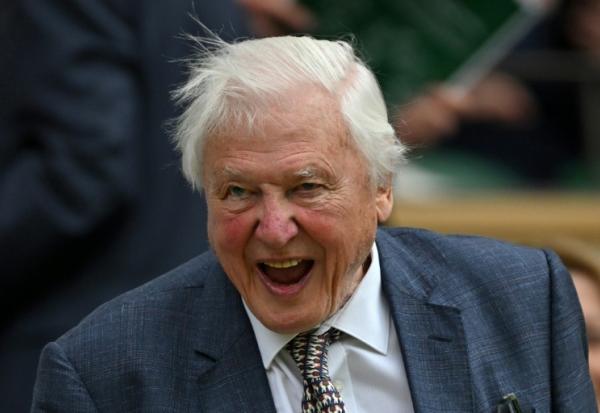 Le naturaliste britannique David Attenborough au tournoi de tennis de Wimbledon, le 1er juillet 2024